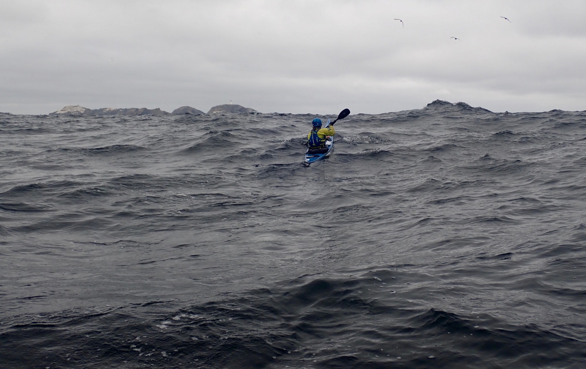 Image 3 from Shetland Sea Kayaking - Residential