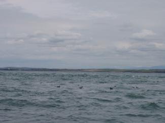 North Wales Sea Kayaking Courses - Specialist Sea Kayaking Anglesey, North Wales image from Bespoke Sea Kayaking