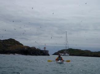 North Wales Sea Kayaking Courses - Specialist Sea Kayaking Anglesey, North Wales image from Bespoke Sea Kayaking