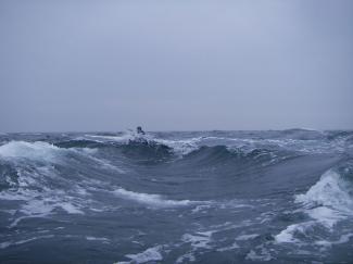 North Wales Sea Kayaking Courses - Specialist Sea Kayaking Anglesey, North Wales image from Bespoke Sea Kayaking