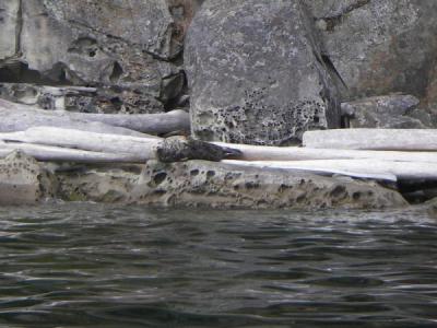 North Wales Sea Kayaking Courses - Specialist Sea Kayaking Anglesey, North Wales image from Canada Vancouver 2007