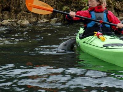 North Wales Sea Kayaking Courses - Specialist Sea Kayaking Anglesey, North Wales image from Foundation Intermediate Sea Kayaking Wales