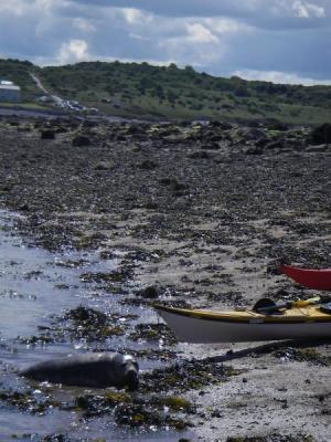North Wales Sea Kayaking Courses - Specialist Sea Kayaking Anglesey, North Wales image from Foundation Intermediate Sea Kayaking Wales