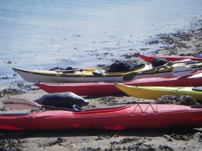 North Wales Sea Kayaking Courses - Specialist Sea Kayaking Anglesey, North Wales image from Foundation Intermediate Sea Kayaking Wales