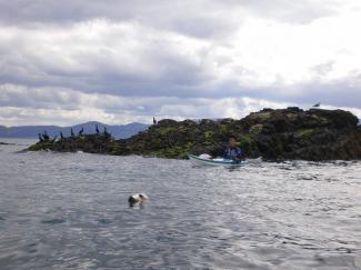 North Wales Sea Kayaking Courses - Specialist Sea Kayaking Anglesey, North Wales image from Foundation Intermediate Sea Kayaking Wales