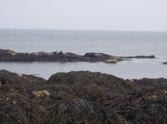 North Wales Sea Kayaking Courses - Specialist Sea Kayaking Anglesey, North Wales image from Sea Kayak Award old 3 star North Wales Anglesey
