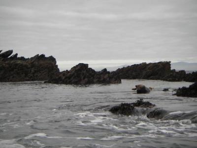 North Wales Sea Kayaking Courses - Specialist Sea Kayaking Anglesey, North Wales image from Sea Kayaking Anglesey
