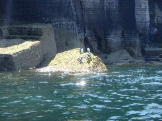North Wales Sea Kayaking Courses - Specialist Sea Kayaking Anglesey, North Wales image from Sea Kayaking Introduction Wales Anglesey