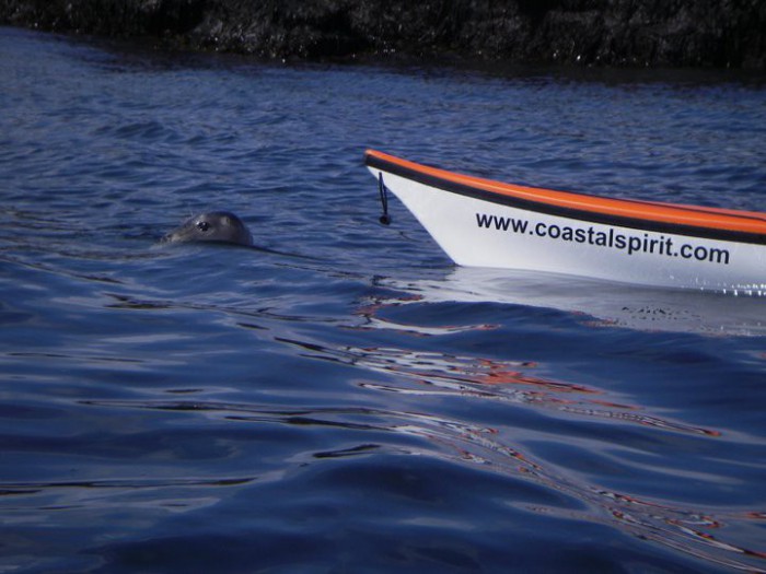 Harris Sea Kayaking - Camping Anglesey Sea Kayaking